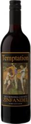 Alexander Valley Vineyards - Temptation Zin 2019 (750ml) (750ml)