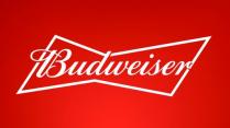 Anheuser-Busch - Budweiser (30 pack cans) (30 pack cans)