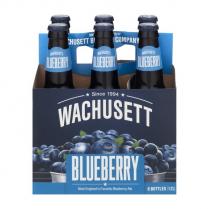 Wachusett - Blueberry Ale (6 pack bottles) (6 pack bottles)